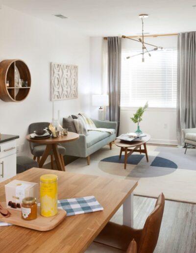 Modern Apartment Living Room